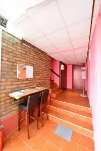 Apartments & Accommodation Stojic - 13