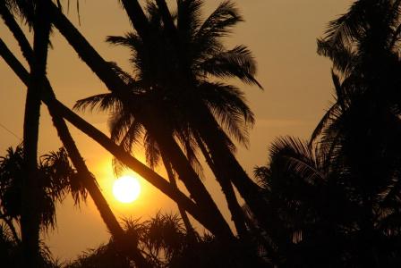 Lanka Beach Bungalows - 20