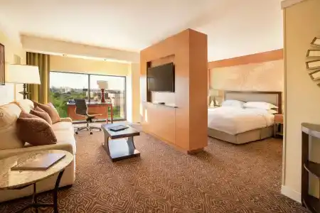 Hilton University of Houston - 3