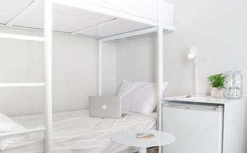 Chocolate box mint - 4