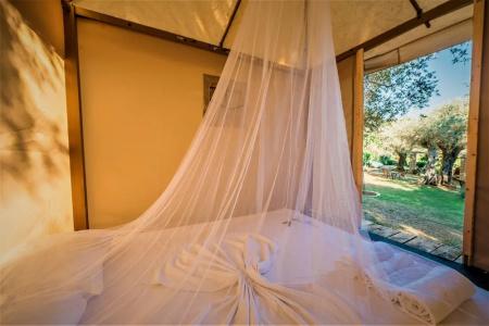 Holiday Park Olive Tree - 23