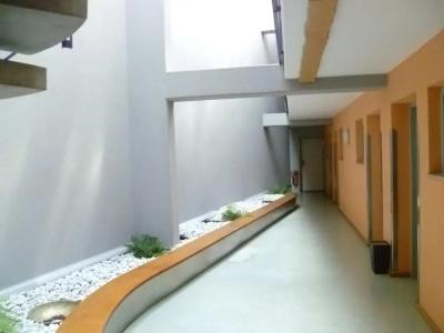 Abalon ideal - 11