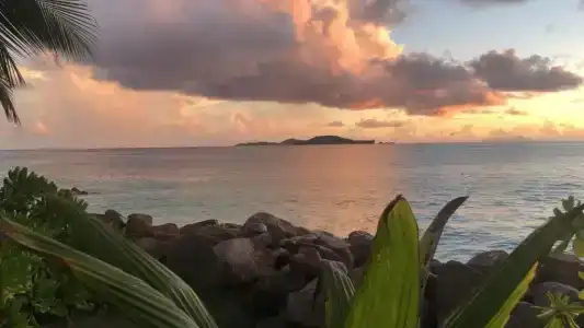 Sunset Cove Villa - 52