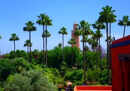 Medina Gardens - Adults Only - All Inclusive - 28