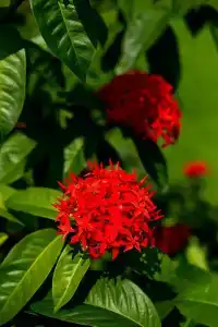 Zerof Self Catering - 36