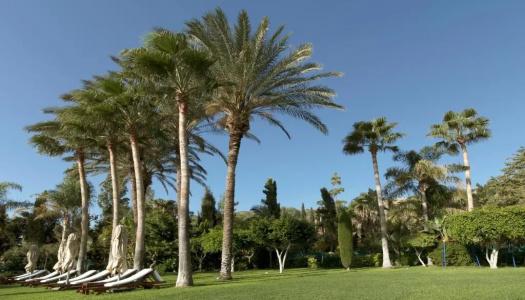 Columbia Beach Resort - 225
