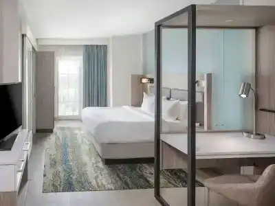 SpringHill Suites by Marriott - 65