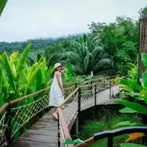 Khaosok Boutique Camps - 72