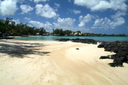 Ocean Beauty - 15