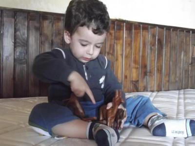 Beymelek Tas Evler - 25