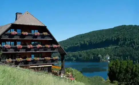 Alemannenhof - Boutique am Titisee - 54