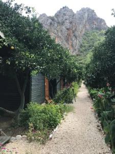 Olympos Yakamoz Pansiyon - 13