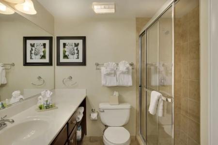 Bluegreen Vacations Patrick Henry Sqr, Ascend Collection - 45