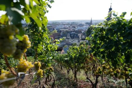 LandKauzenberg - 65