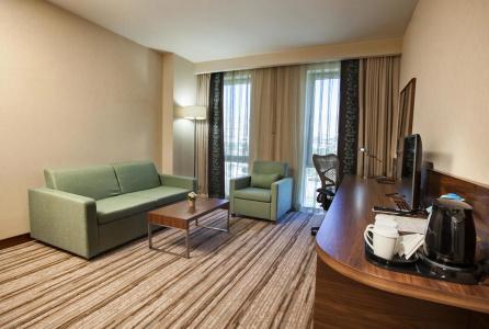 Hilton Garden Inn Erzincan - 4