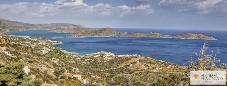 Adrakos  (Adults Only) - 19