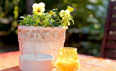 am Katharinenholz - 64