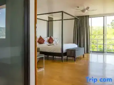 Jirana Patong - 147