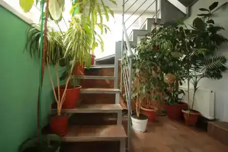 Garden Eco Design - 12