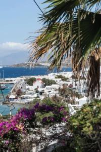 Rania Sea View - 17