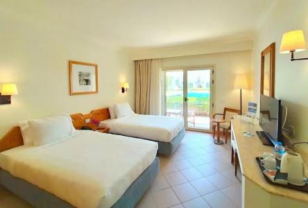 Camel Dive Club & - Boutique - 40