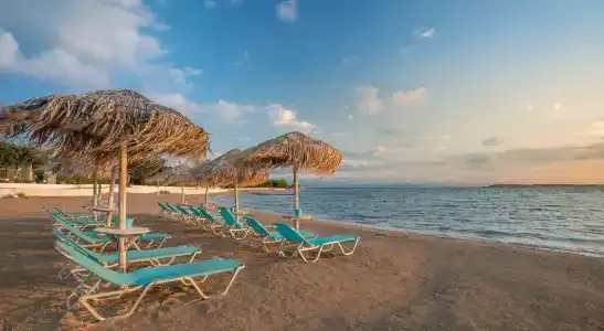 Oasis Beach - 91