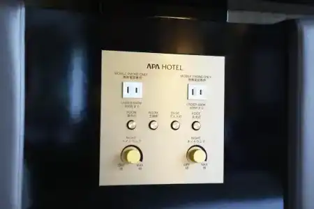 Apa Ueno Ekikita - 41