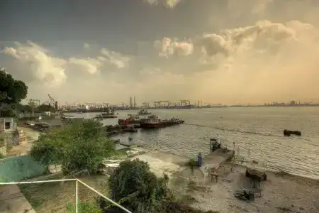 Blue Marine - 15