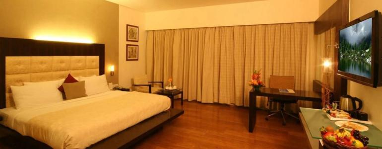 Krishna Palace - 33