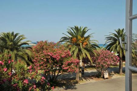 Le Petit Chateau - 8