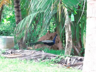 Beach Lagoon Guesthouse - 56