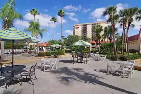 Avanti Palms Resort And Conference Center - 20