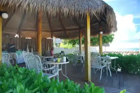 The Islander - 15