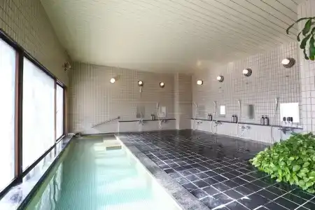 Silk Inn Madarao - 12