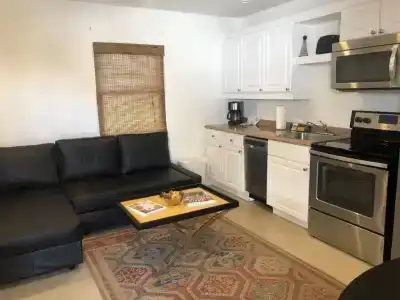 Captiva Beach (open private beach access) - 19