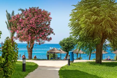 Nausicaa Beach - 22