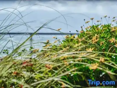 Erhai Lake Seclusive Life - 168