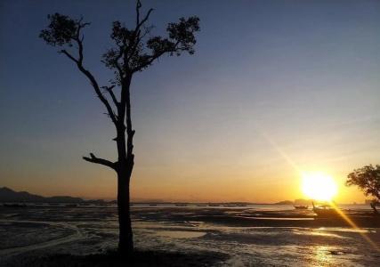 Koh Mook The Sun Great - 8