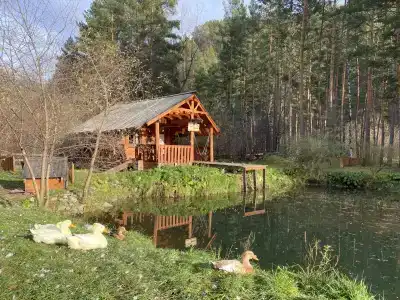 Деревня Берендеевка - 17