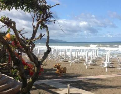 Village Marina - 17