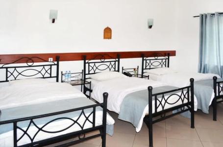 Arusha Naaz - 2