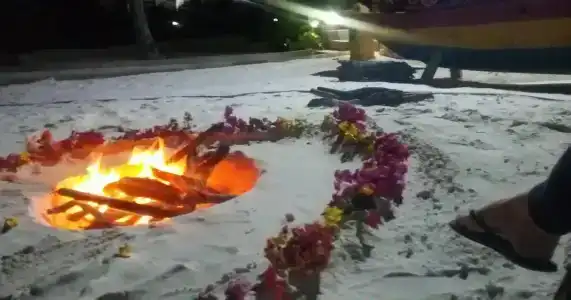 Ora White Rose - 41
