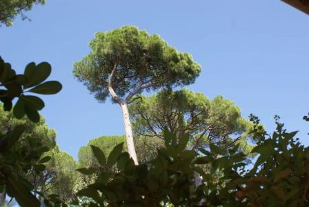Hôtel Les Jardins De Sainte-Maxime - 53