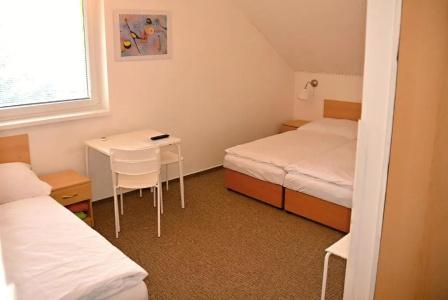 Wellness Vila Bohemia - 38
