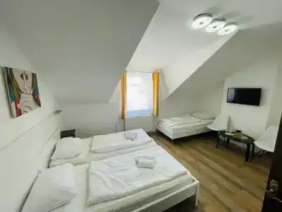 Boutique Pohorje - 13