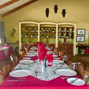 Waterberg Guest Farm - 23