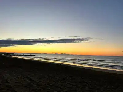 Palm Beach - 15
