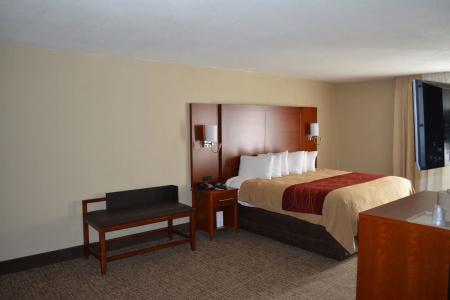 Comfort Inn Savannah - 2