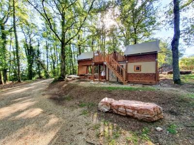 Orlando in Chianti Glamping - 75