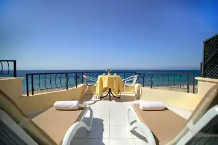 Palmera - 6